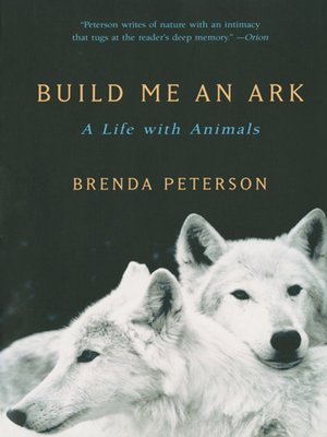 cover image of Build Me an Ark